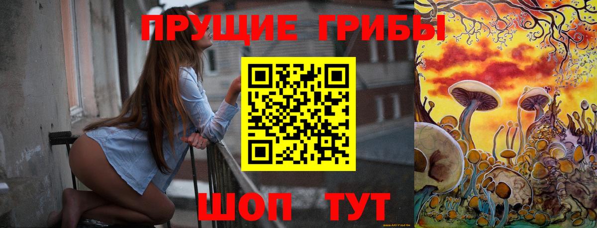 Галлюциногенные грибы прущие грибы  Вход с VPN  Городец 